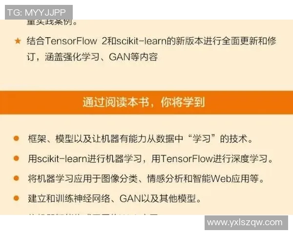 成都与武汉排球队赛后复盘分析比赛经验与战术调整的深度探讨